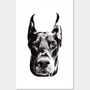 Dobermann gift for Dobermann Owners Posters and Art